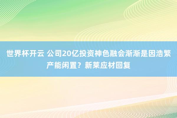 世界杯开云 公司20亿投资神色融会渐渐是因浩繁产能闲置？新莱应材回复