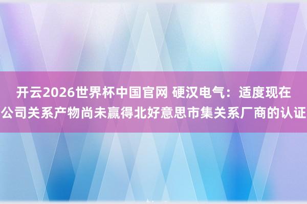 开云2026世界杯中国官网 硬汉电气：适度现在公司关系产物尚未赢得北好意思市集关系厂商的认证