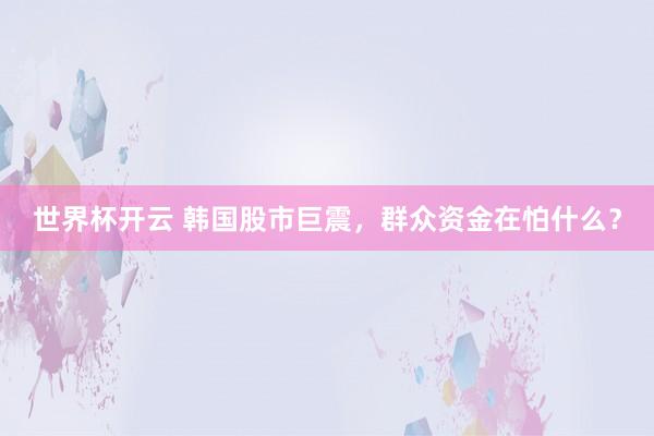 世界杯开云 韩国股市巨震，群众资金在怕什么？