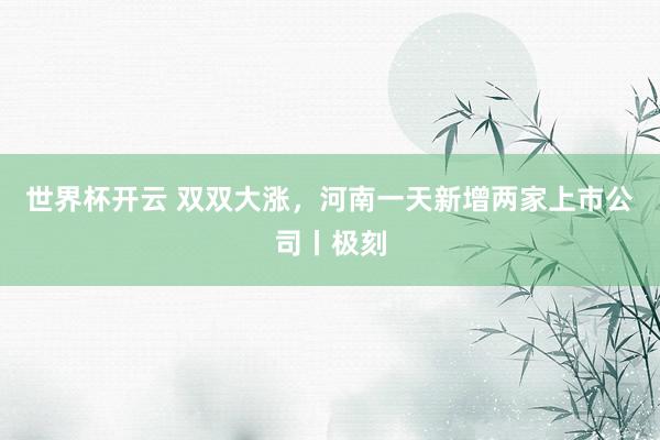 世界杯开云 双双大涨，河南一天新增两家上市公司丨极刻