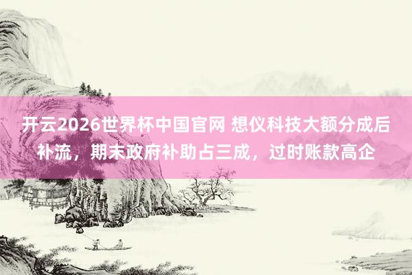 开云2026世界杯中国官网 想仪科技大额分成后补流，期末政府补助占三成，过时账款高企