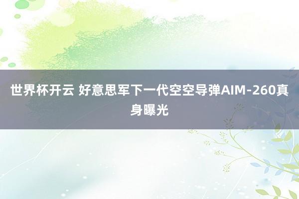 世界杯开云 好意思军下一代空空导弹AIM-260真身曝光