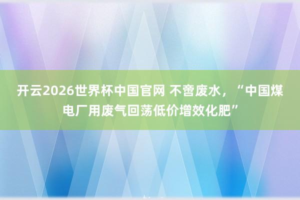 开云2026世界杯中国官网 不啻废水，“中国煤电厂用废气回荡低价增效化肥”