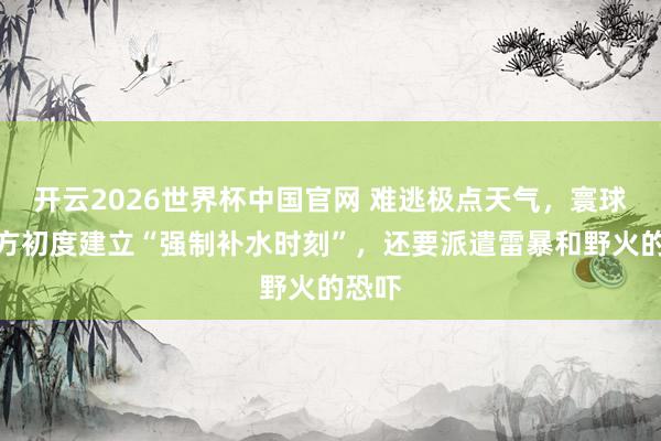 开云2026世界杯中国官网 难逃极点天气，寰球杯官方初度建立“强制补水时刻”，还要派遣雷暴和野火的恐吓