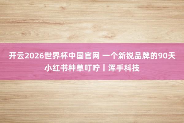 开云2026世界杯中国官网 一个新锐品牌的90天小红书种草叮咛丨浑手科技