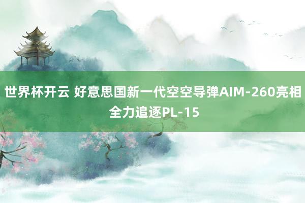世界杯开云 好意思国新一代空空导弹AIM-260亮相 全力追逐PL-15
