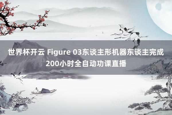 世界杯开云 Figure 03东谈主形机器东谈主完成200小时全自动功课直播
