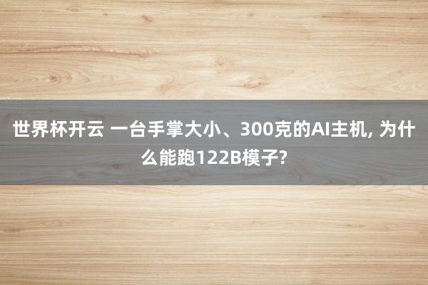 世界杯开云 一台手掌大小、300克的AI主机， 为什么能跑122B模子?