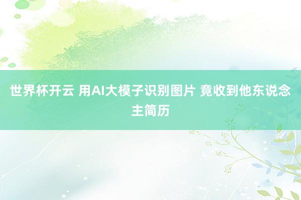 世界杯开云 用AI大模子识别图片 竟收到他东说念主简历