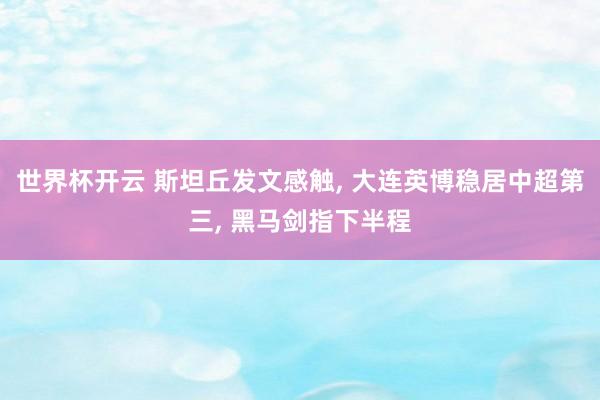 世界杯开云 斯坦丘发文感触， 大连英博稳居中超第三， 黑马剑指下半程