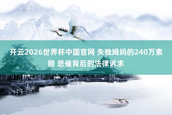 开云2026世界杯中国官网 失独姆妈的240万索赔 悲催背后的法律诉求