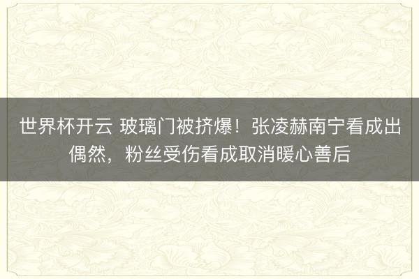 世界杯开云 玻璃门被挤爆！张凌赫南宁看成出偶然，粉丝受伤看成取消暖心善后