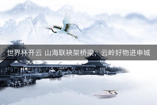 世界杯开云 山海联袂架桥梁,云岭好物进申城