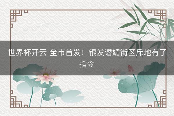 世界杯开云 全市首发!银发谮媚街区斥地有了指令